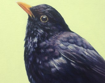 Blackbird Greeting Card, Bird Art Card, Blank Inside. UK Garden Bird, From Original Oil Painting by Budgerigardener.  Black and Green