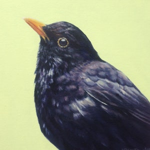 Cartão do melro, cartão da arte do pássaro, vazio para dentro. Pássaro de jardim do Reino Unido, da pintura a óleo original de Budgerigardener. Preto e Verde