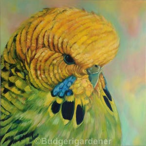 Tarjeta de felicitación Budgie, de la pintura al óleo original del perico 'Olive' de Budgerigardener. Perruche, Wellensittich, bellas artes modernas y coloridas