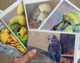 Budgie Greeting Cards, Parakeet Cards, Card Packs,  Any 4 6 or 10 , Bird Cards,  Budgerigardener Cards, Wellensittich, Perruche