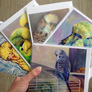 Budgie wenskaarten, parkietenkaarten, kaartpakketten, elke 4 6 of 10, vogelkaarten, grasparkietenkaarten, Wellensittich, Perruche