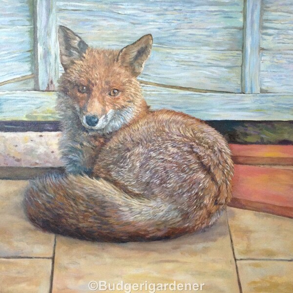 Fox Greeting Card - From Realistic Oil Painting - Blank Inside  -  Garden Visitor - Urban Dog Fox - Renard - Zorros - Fuchs