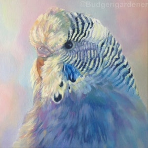 Carte de voeux perruche aux couleurs pastel, de la peinture à l'huile originale « Charlie Girl », perruche, Perruche, Wellensittich