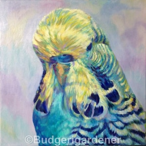 Budgie Art, Budgerigardener, Greeting Card,  Original Oil Painting, &#39;Joey&#39;, Budgerigar, Parakeet, Perruche. Colourful Modern Fine Art