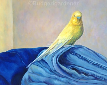 Yellow Budgie, Budgie Wall Art, A4 Giclee Print With Mount To Fit 14 x 11 Frame, Parakeet Art, 'Basil' Oil Painting