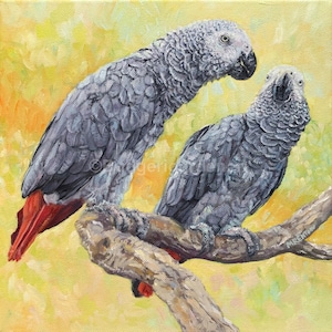 Pappagallo grigio africano, biglietto d'auguri, conservazione dei pappagalli, arte dei pappagalli, interno vuoto,