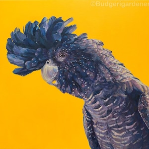 Zwarte Kaketoekaart, Roodstaart Zwarte Kaketoe, Kaketoe Wenskaart. Vogel Olieverfschilderij, Australische Vogel, Kuif, Geel en Zwart