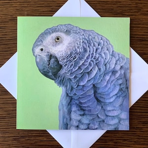 Wenskaart Afrikaanse grijze papegaai, realistische papegaaikunst, wenskaart blanco binnenkant