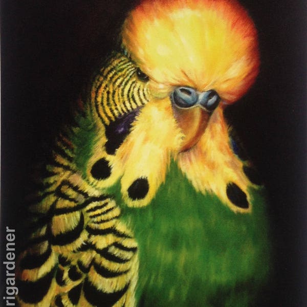 Green Budgerigar, Greeting Card, Oil Painting  By Budgerigardener, Green Budgie, Parakeet, Perruche, Periquito, Caravaggio.Famous  paintings