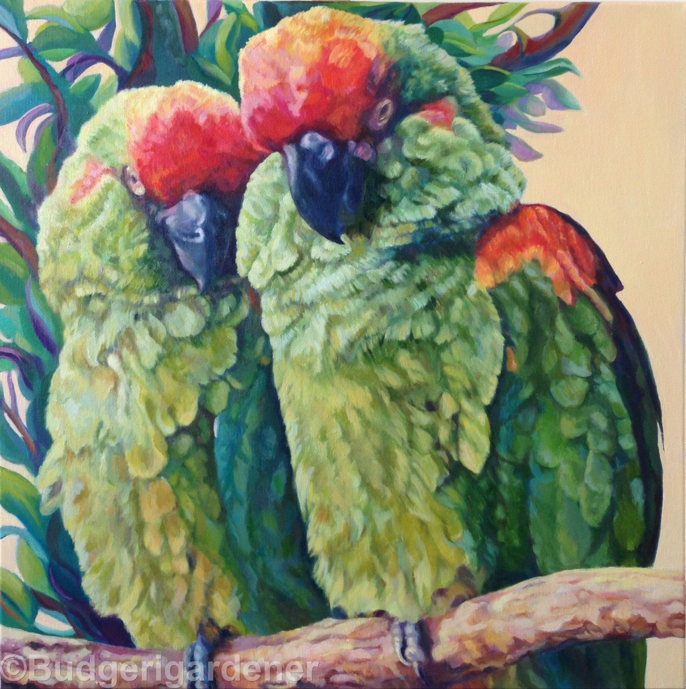 Amazon Parrots Red Fronted Macaws Fine Art Greeting Card Etsy