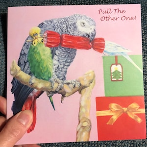 Parrot Budgie Christmas Card - Parakeets and African Grey Parrot With Christmas Cracker - Humorous Cards - for Bird Lovers!