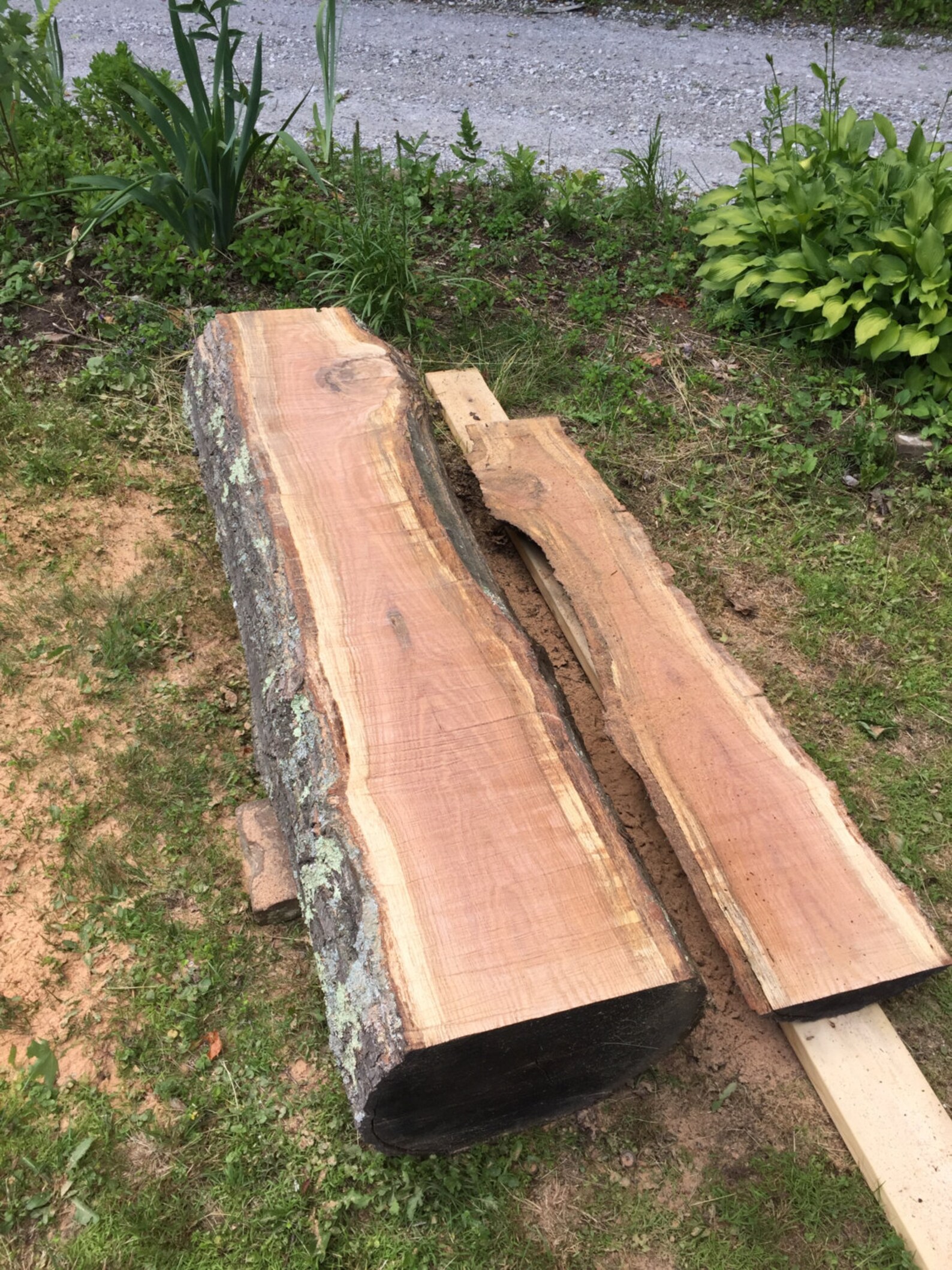 Live edge red oak slabs/tables/mantles Etsy
