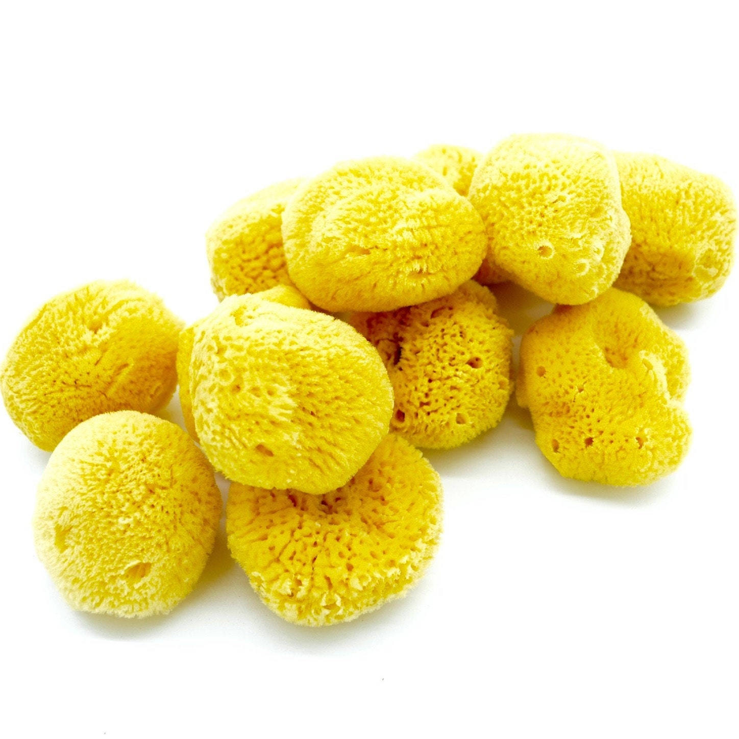 Buy Caribbean silk natural sponges for the face