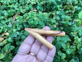 Palo Santo Kuripe, Rape  Self-applicator, Ritual Ceremony Shamanic Pipe, Rapeh