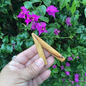 May include: A pair of wooden sticks, shaped like a V, held in a hand against a background of pink flowers and green leaves.