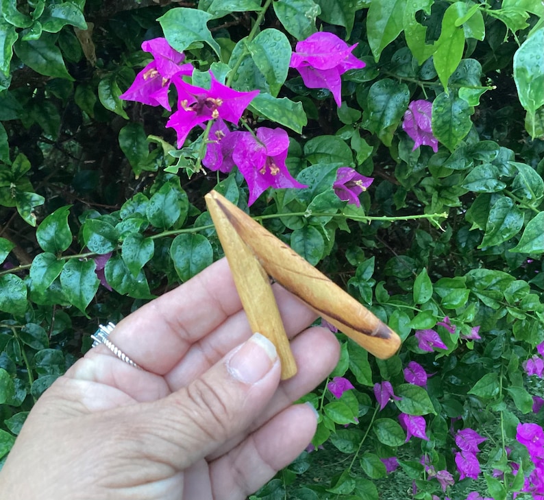May include: A pair of wooden sticks, shaped like a V, held in a hand against a background of pink flowers and green leaves.