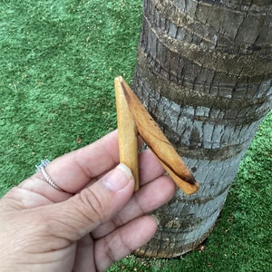May include: A wooden carving in the shape of a letter A, with a light brown color and a darker brown grain pattern.