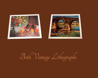 2 litografías vintage de Cruells, bodegón de frutas, Bridge, bellas artes, perfectas para coleccionistas.
