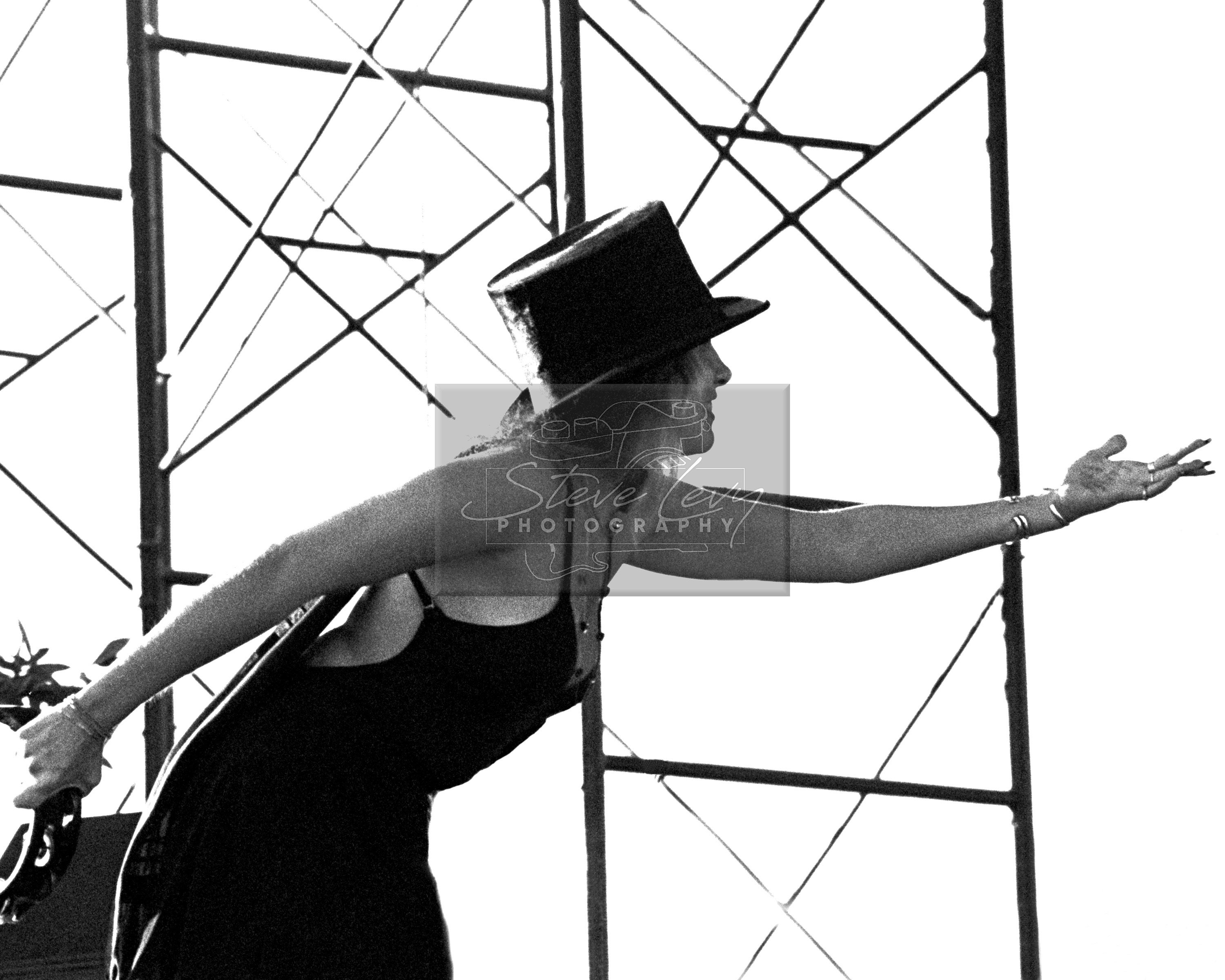 Stevie Nicks Top Hat Fine Art Print Etsy