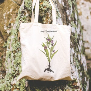 May include: A white canvas tote bag featuring a botanical illustration of Comfrey (Symphytum officinale). The illustration is in shades of green, purple, and brown.