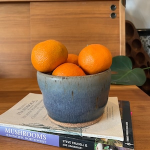 May include: A blue ceramic bowl filled with four whole oranges. The bowl is sitting on top of two books, one titled "Mushrooms of the Pacific Northwest" and the other titled "Steve Trudell & Joe Ammiriti".