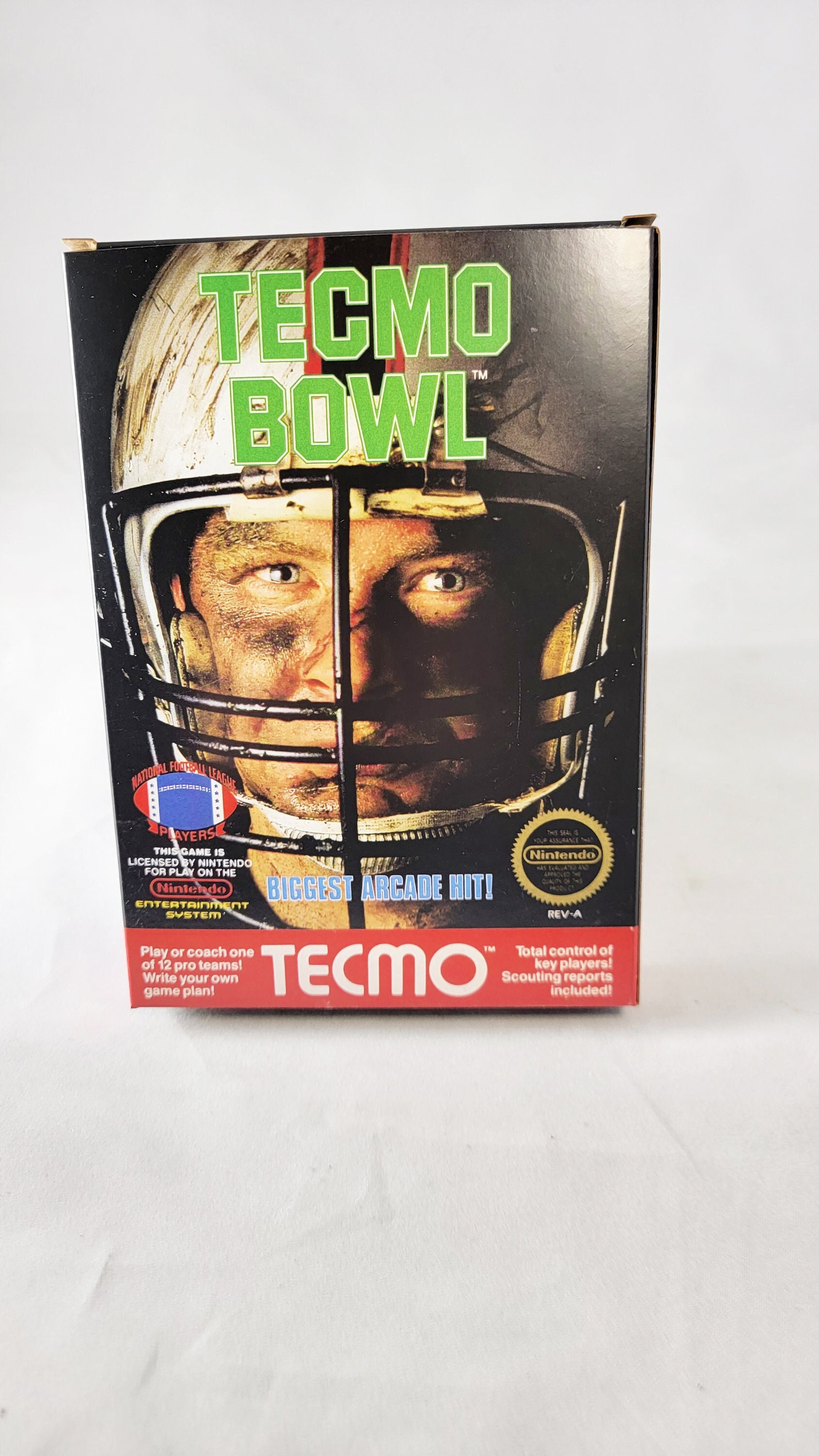 Tecmo 2024 bowl nes