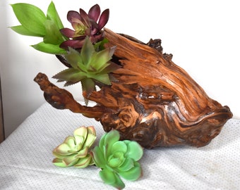 Wood sculpture. Burl wood. Burl sculpture. Wood decor. Home decor. Driftwood. Wood burl