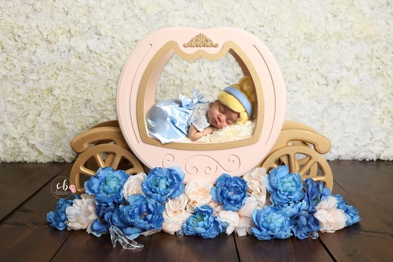 newborn princess outfit