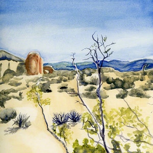 Creosote Bush