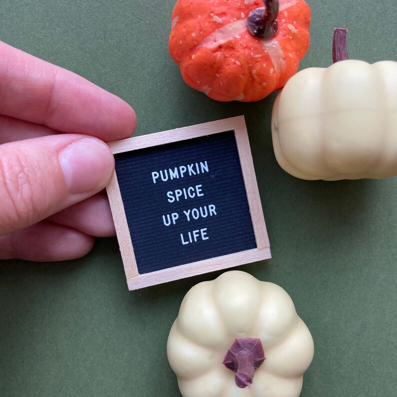 May include: A black letter board with the text "Pumpkin Spice Up Your Life" on a green background with three white and orange pumpkins.