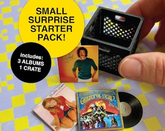 Dollhouse Miniature Record Albums + Crate Mystery Bundle