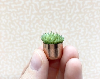 Dollhouse Miniature Succulent Plant in Small Copper Planter