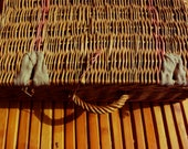 Rattan trunk with old fabric - Made in France -