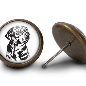 Swiss Mountain Dog Earrings - Swissy Earrings (Lifetime Guarantee) E2022