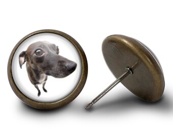 Greyhound-örhängen - Hundörhängen (livstidsgaranti) E0615