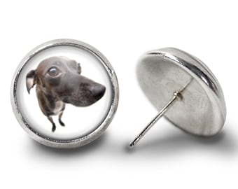 Greyhound-örhängen - Hundörhängen (livstidsgaranti) E0615