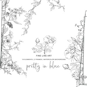 Bonito em azul, clipart de linha fina desenhado à mão, flores silvestres, rosas esboçadas, molduras de elementos separados, florais desenhados à mão, flores do prado,