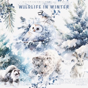 clipart de animais de inverno - png de férias - clipart de inverno - clipart de floresta - clipart - inverno em aquarela - clipart de coruja - clipart de cartões