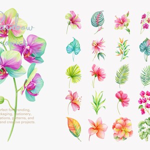 May include: A collection of watercolor illustrations featuring a large orchid branch on the left and various tropical flowers and leaves on the right. The artwork displays vibrant shades of pink, green, yellow, and teal in a botanical style.