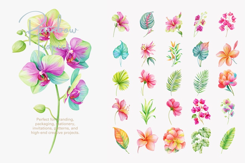 May include: A collection of watercolor illustrations featuring a large orchid branch on the left and various tropical flowers and leaves on the right. The artwork displays vibrant shades of pink, green, yellow, and teal in a botanical style.