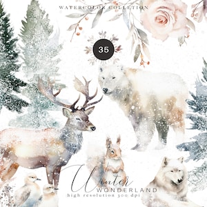 evergreen clipart - watercolor Christmas - winter woodland set - woodland clipart - winter landscape - watercolor winter - deer clipart png