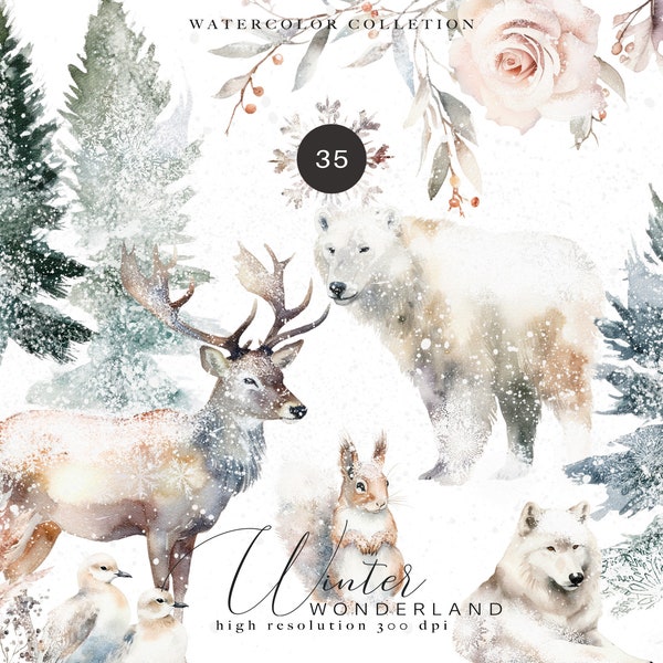 evergreen clipart - watercolor Christmas - winter woodland set - woodland clipart - winter landscape - watercolor winter - deer clipart png