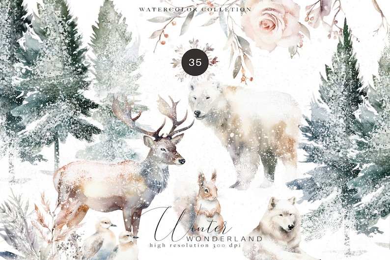 Evergreen Clipart - Watercolor Christmas - Winter Woodland Set ...