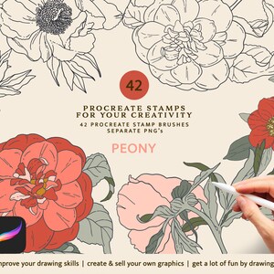 Peony Stamps Procreate Brushes - Floral Stamp - Botanical Stamp ...