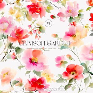 Aquarell - Png Illustration - Pfirsich Blumen Clipart - Gartenrosen romantisch - Pfirsich Blumen Clipart