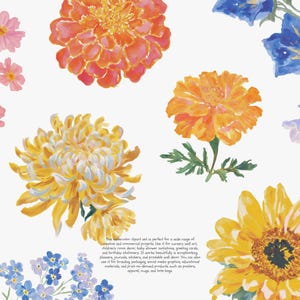 May include: Watercolor floral clipart featuring a variety of flowers in shades of red, pink, orange, yellow, and blue. The flowers include cosmos, marigolds, chrysanthemums, sunflowers, and bellflowers. The image has text at the bottom.