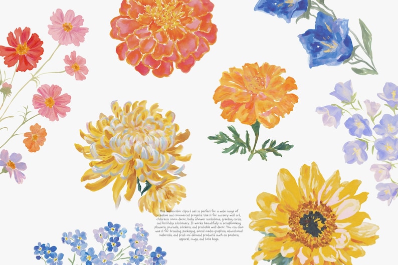 May include: Watercolor floral clipart featuring a variety of flowers in shades of red, pink, orange, yellow, and blue. The flowers include cosmos, marigolds, chrysanthemums, sunflowers, and bellflowers. The image has text at the bottom.