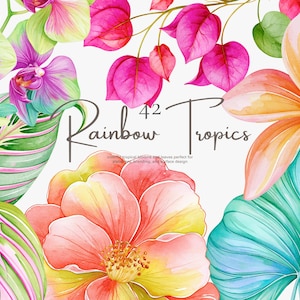 tropical flower clipart bundle, rainbow botanical png, exotic floral illustrations, tropical leaves, island flower graphics image 1