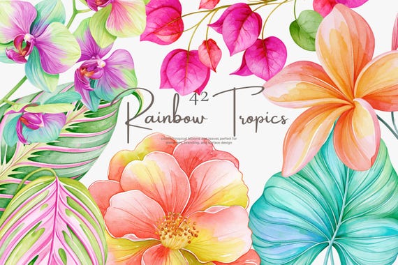 tropical flower clipart bundle, rainbow botanical png, exotic floral illustrations, tropical leaves, island flower graphics