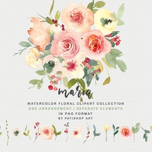 watercolor flowers clipart - vanilla and blush flowers - floral bouquet clipart - rose clipart - peony clipart - wedding clipart - aquarelle